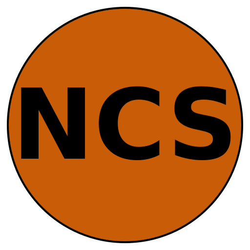 Nexlevel Career Solutions
